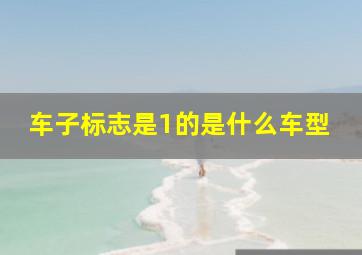 车子标志是1的是什么车型