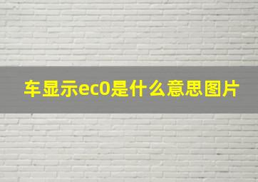 车显示ec0是什么意思图片