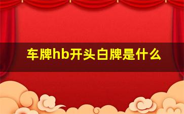 车牌hb开头白牌是什么