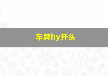 车牌hy开头