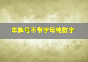 车牌号不带字母纯数字