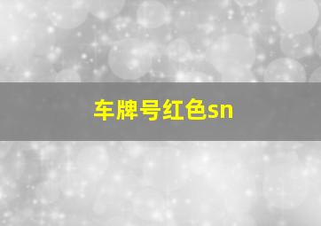 车牌号红色sn