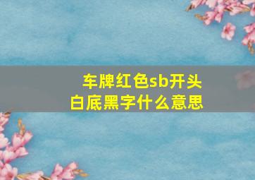 车牌红色sb开头白底黑字什么意思