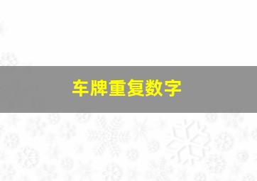 车牌重复数字