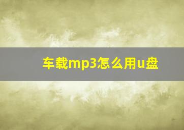 车载mp3怎么用u盘