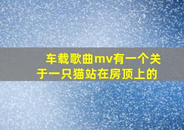 车载歌曲mv有一个关于一只猫站在房顶上的