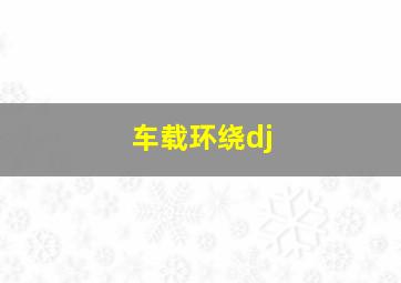 车载环绕dj