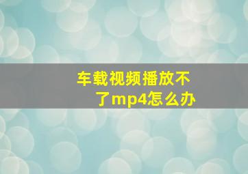 车载视频播放不了mp4怎么办