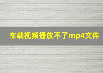 车载视频播放不了mp4文件