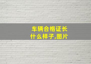 车辆合格证长什么样子,图片