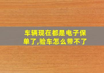 车辆现在都是电子保单了,验车怎么带不了