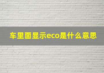 车里面显示eco是什么意思