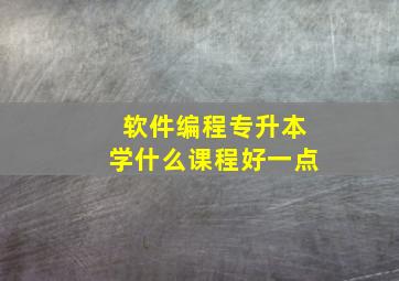 软件编程专升本学什么课程好一点