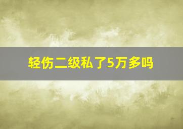 轻伤二级私了5万多吗