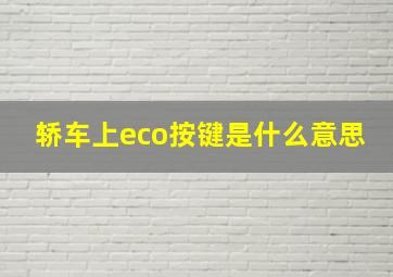 轿车上eco按键是什么意思