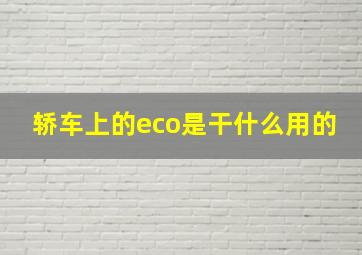 轿车上的eco是干什么用的