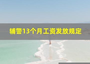 辅警13个月工资发放规定