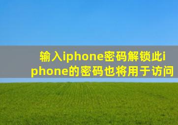 输入iphone密码解锁此iphone的密码也将用于访问