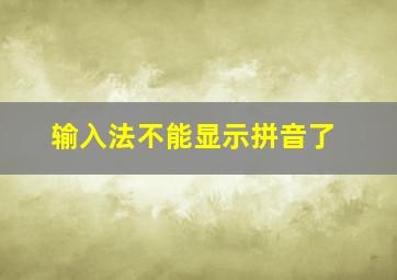 输入法不能显示拼音了