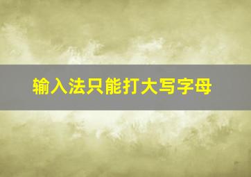 输入法只能打大写字母