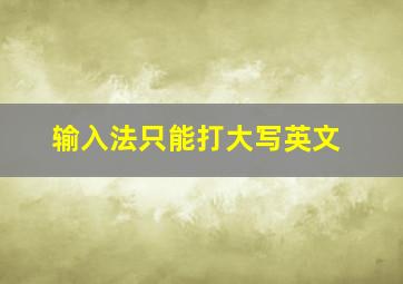 输入法只能打大写英文