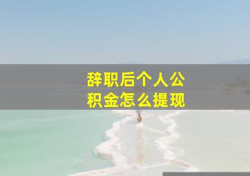 辞职后个人公积金怎么提现