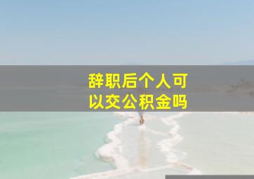 辞职后个人可以交公积金吗