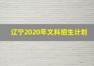 辽宁2020年文科招生计划