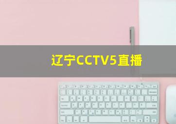 辽宁CCTV5直播