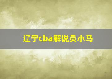 辽宁cba解说员小马