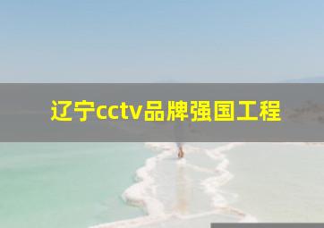 辽宁cctv品牌强国工程