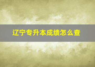 辽宁专升本成绩怎么查