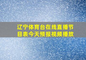 辽宁体育台在线直播节目表今天预报视频播放