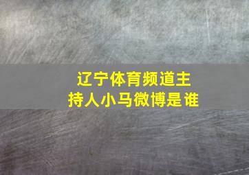 辽宁体育频道主持人小马微博是谁