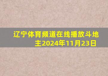 辽宁体育频道在线播放斗地主2024年11月23日