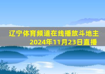 辽宁体育频道在线播放斗地主2024年11月23日直播