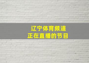 辽宁体育频道正在直播的节目