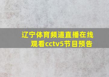 辽宁体育频道直播在线观看cctv5节目预告