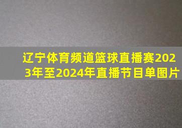 辽宁体育频道篮球直播赛2023年至2024年直播节目单图片