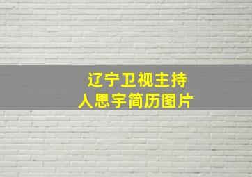 辽宁卫视主持人思宇简历图片