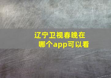 辽宁卫视春晚在哪个app可以看