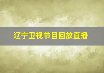 辽宁卫视节目回放直播