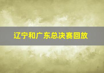 辽宁和广东总决赛回放