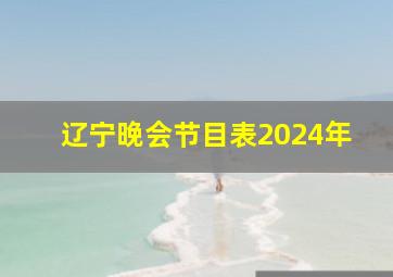 辽宁晚会节目表2024年