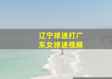 辽宁球迷打广东女球迷视频