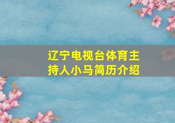 辽宁电视台体育主持人小马简历介绍