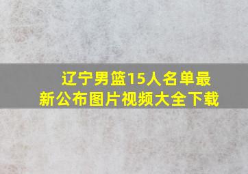 辽宁男篮15人名单最新公布图片视频大全下载