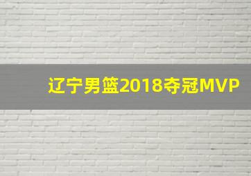 辽宁男篮2018夺冠MVP