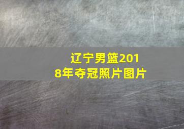 辽宁男篮2018年夺冠照片图片