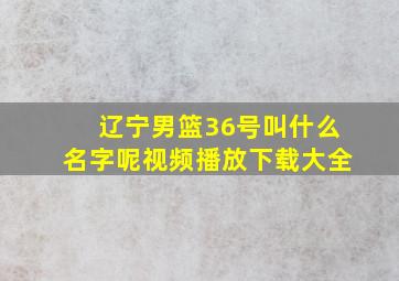 辽宁男篮36号叫什么名字呢视频播放下载大全